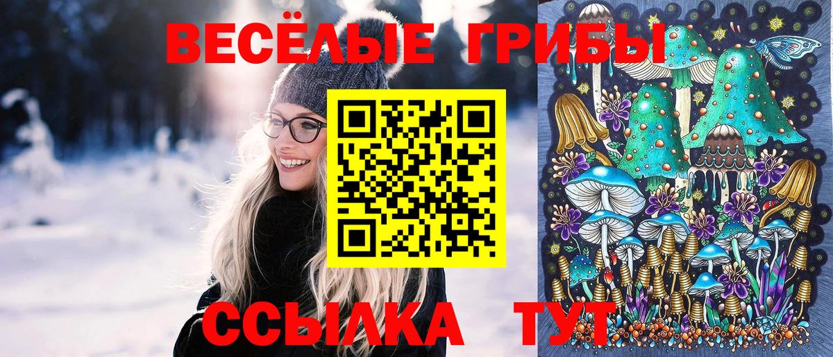 Галлюциногенные грибы Psilocybe  Вход с VPN  Будённовск 